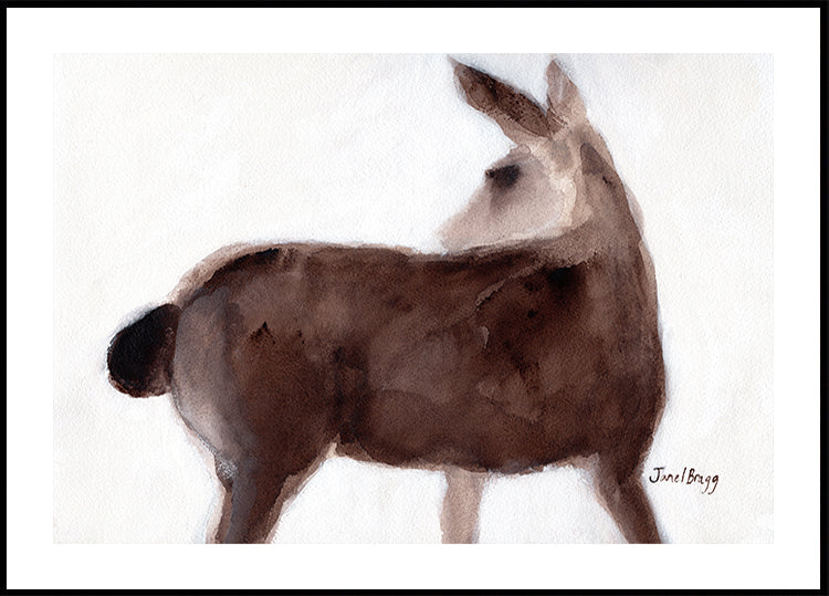 Deer On Creekside Lane Poster