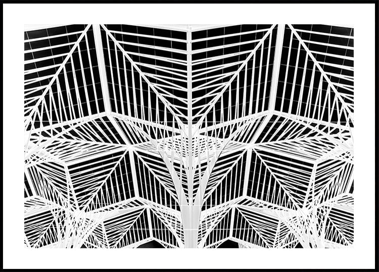 Enter the web Poster