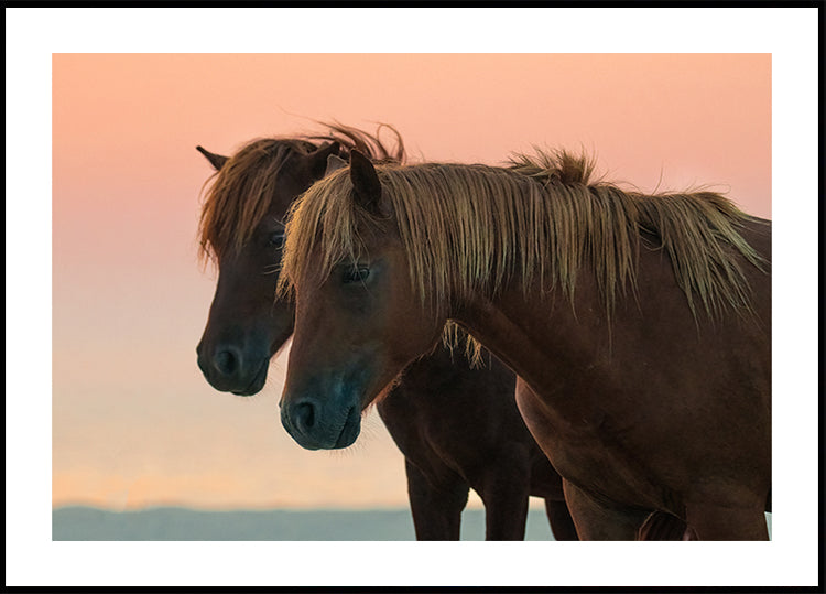 Looking forward Poster