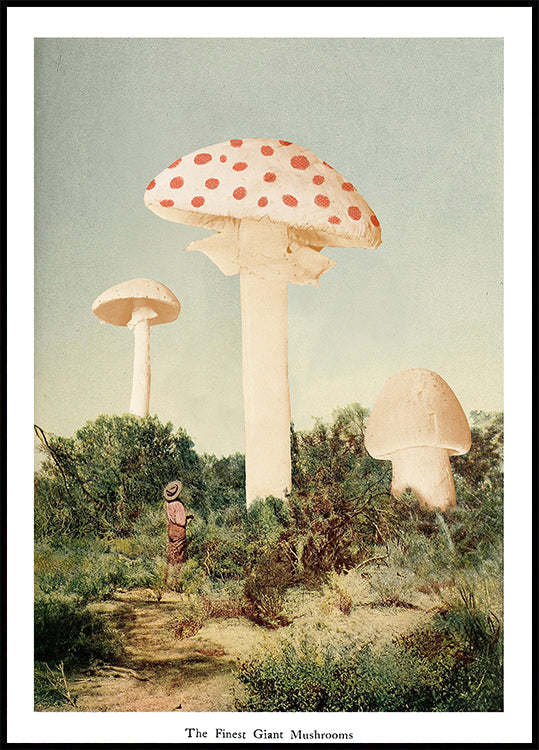 The Finest Giant Mushroom Poster