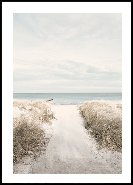 Sandy Path To The Sea Poster - Posterbox.dk