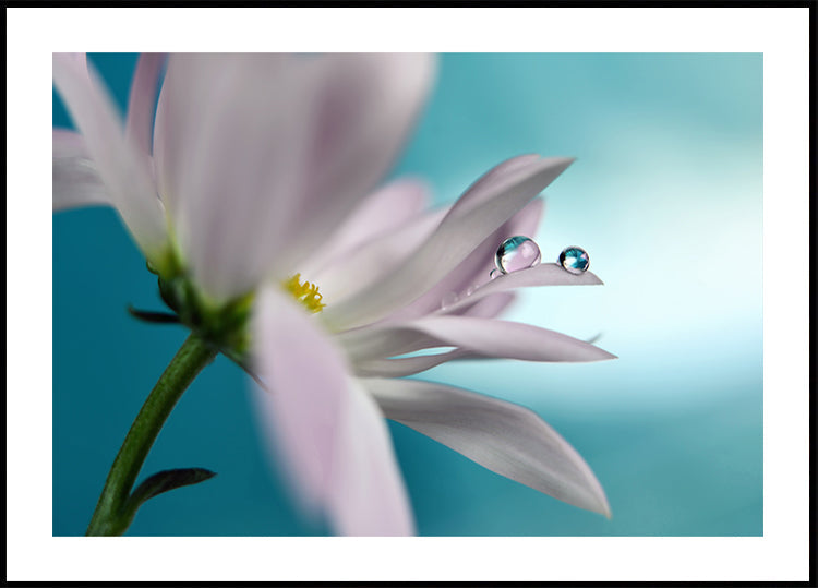 In turquoise Company