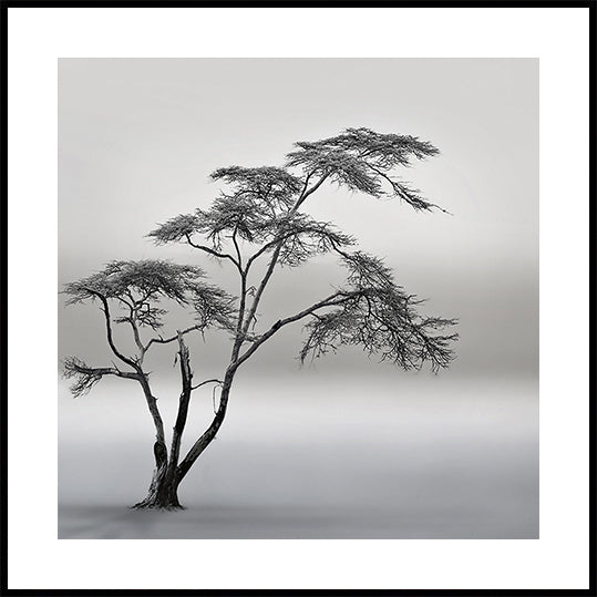 a very long story Poster