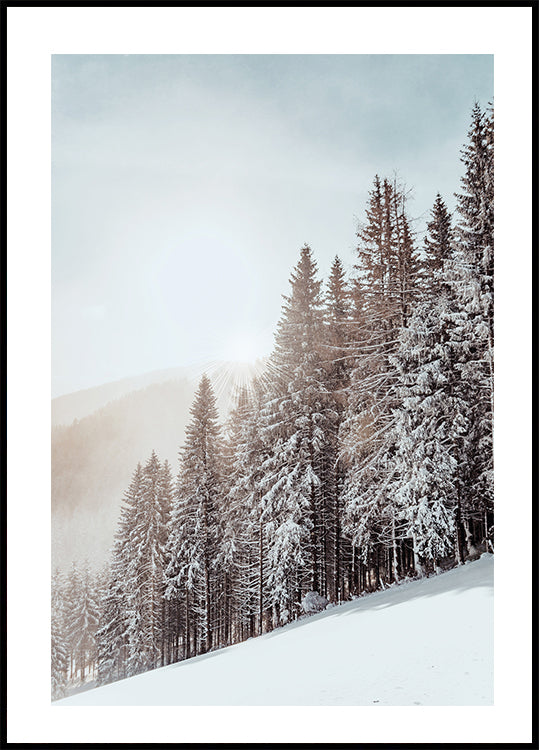 Snow Covered Trees Poster - Posterbox.dk
