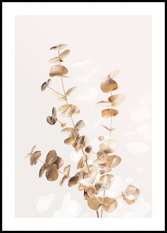 Eucalyptus Creative Gold 03 Poster