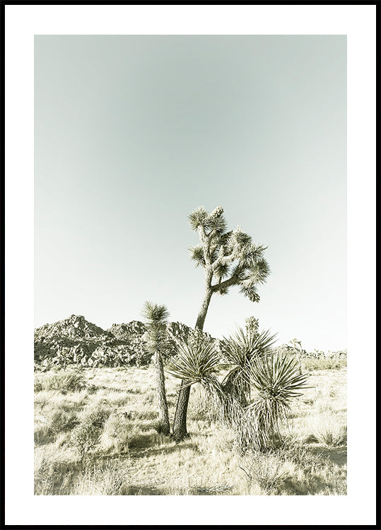 Joshua Tree National Park Vintage Impression Poster