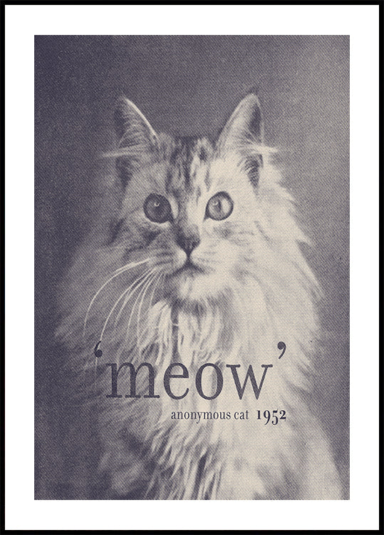 Famous Quote Cat Poster
