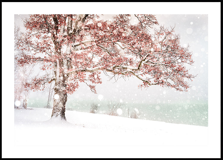 Snow at the lake Poster