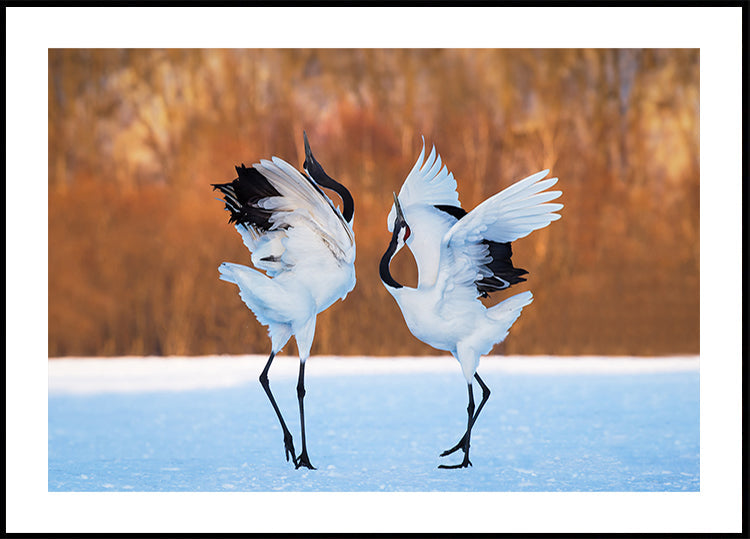 The dance of love Poster