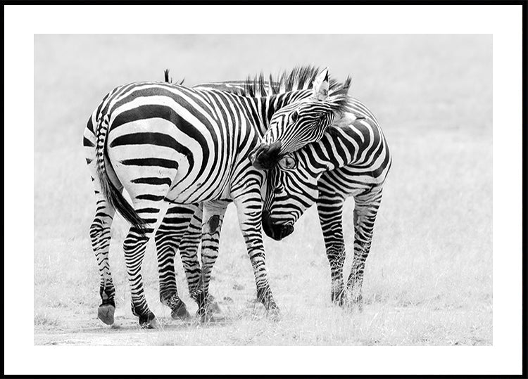 Tender Moment Poster