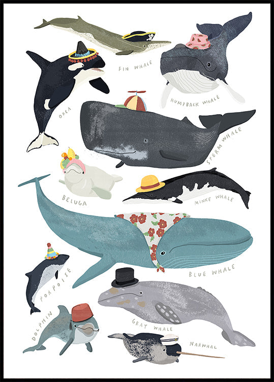 Whales In Hats Poster