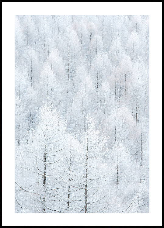 清浄（Seijyou） Poster