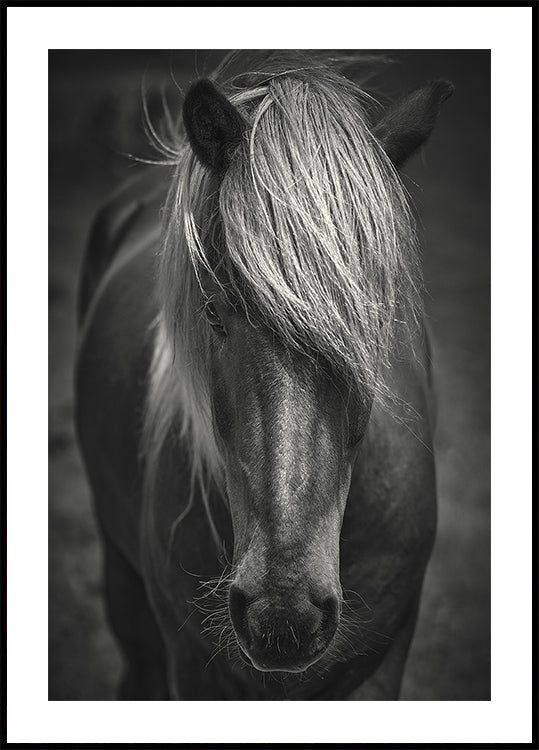 Alpine Surf Dude Poster