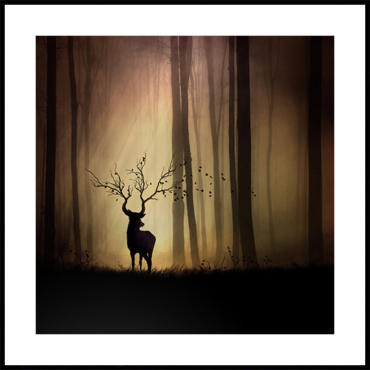 legends d'automne Poster