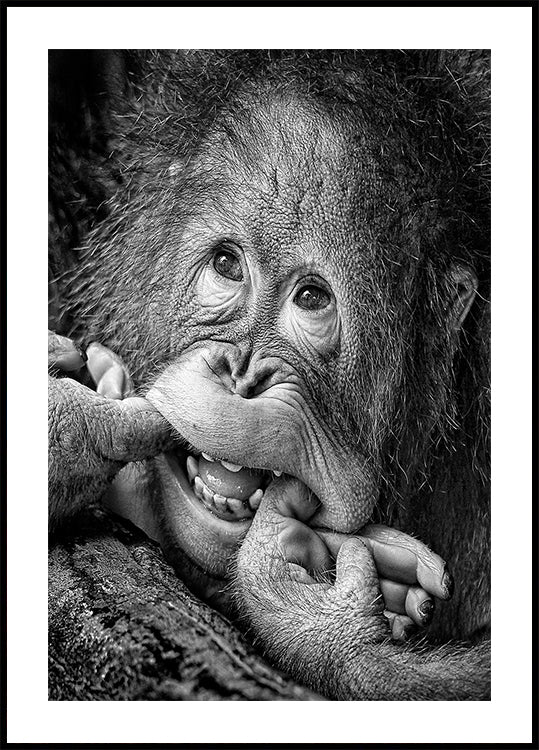 Big Smile.....please Poster