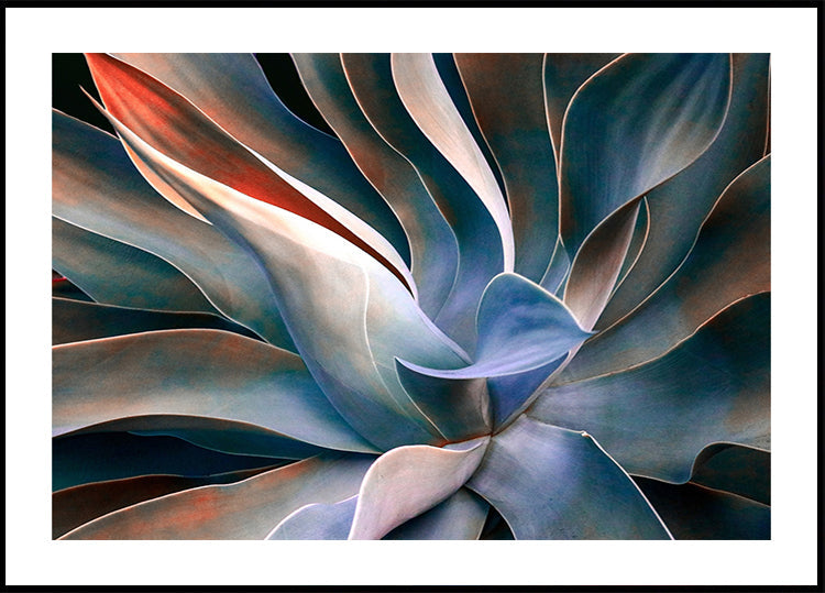 The colors in leaves Poster