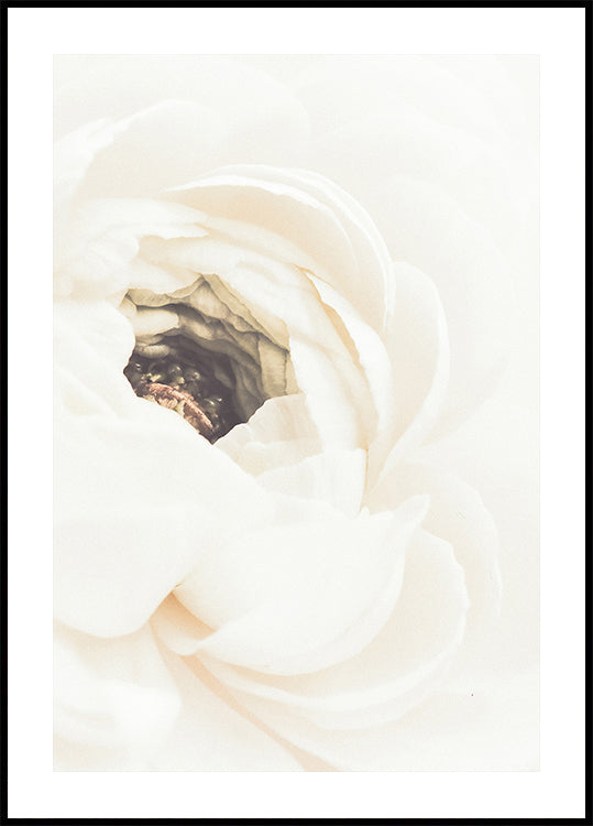 White Flower No.1 Poster