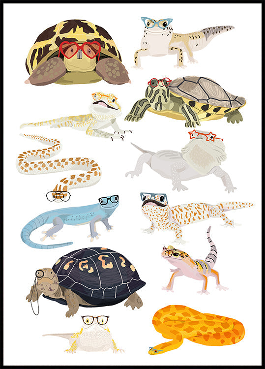 A1 Reptiles In Glasses Poster