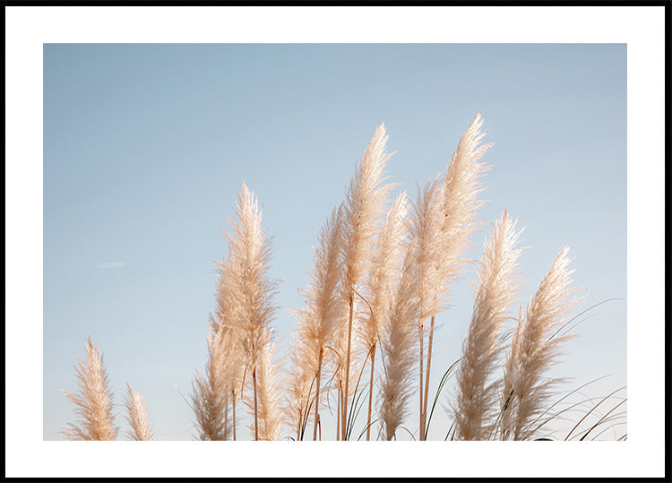 Winter in Portugal Poster