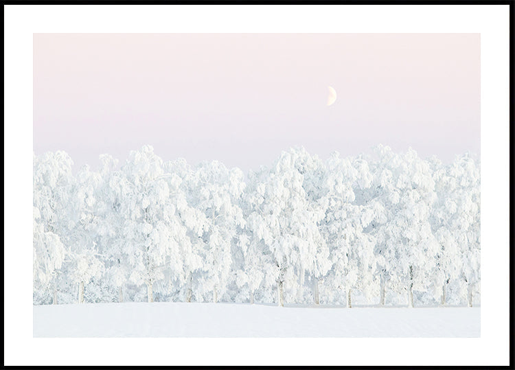 Pink winter magic Poster