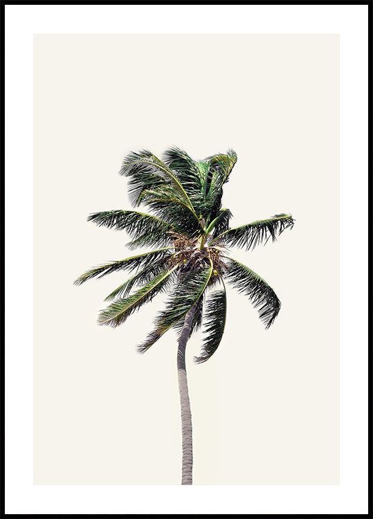 Windy Palm Tree Poster