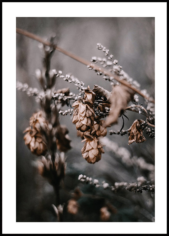 Autumn Arrival Poster - Posterbox.dk