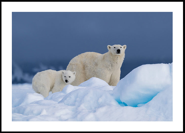 Mommy and baby Poster