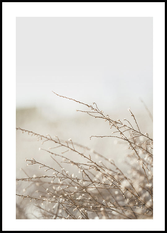 Branches Poster - Posterbox.dk
