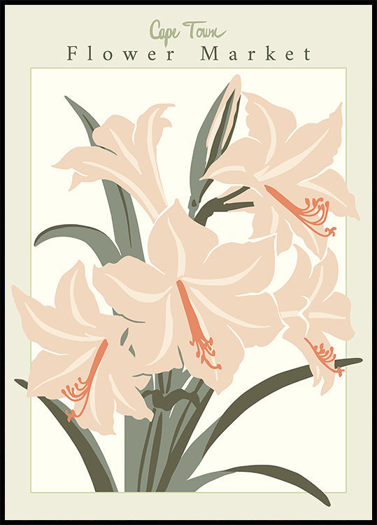 Flower Market Cap Town Amaryllis Poster