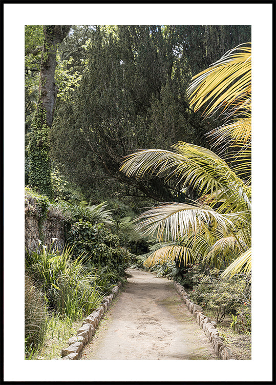 Tropical Walk Poster