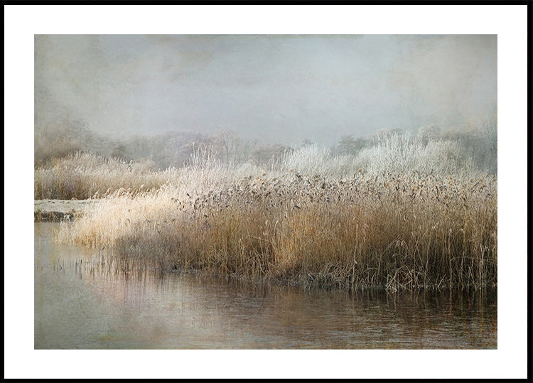 Winter Morning Poster