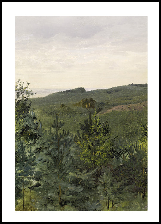 Spruce Saplings in Sandy Soil Study By Werner Holmberg Poster - Posterbox.dk