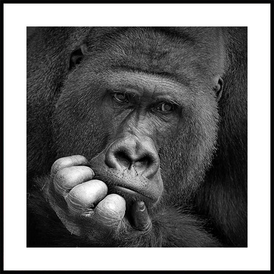 I Had a Dream Poster