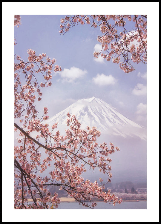 Mt.Fuji in the cherry blossoms Poster