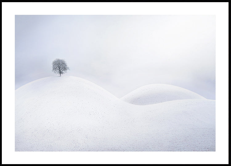 Lone Tree on Winter Dunes Poster