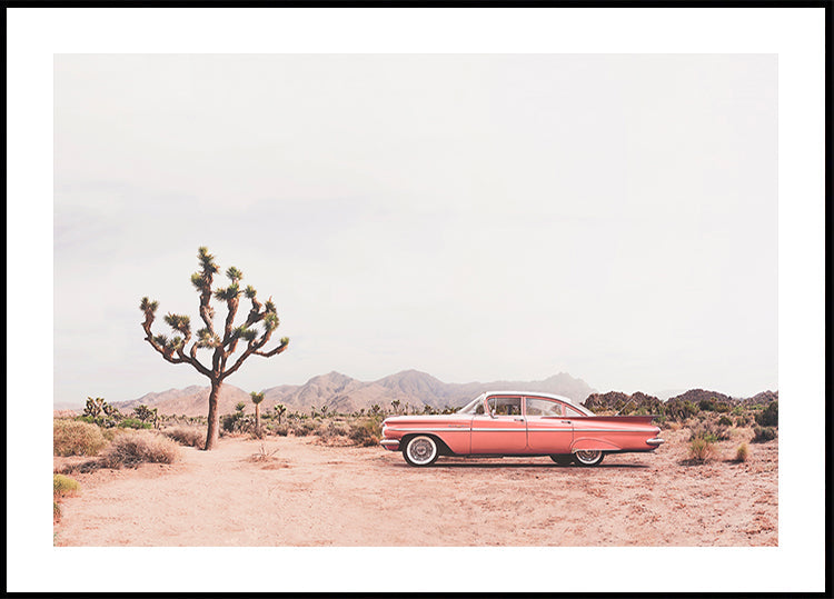 In the desert Poster