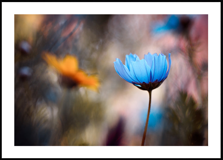 Do you wanna dance with me