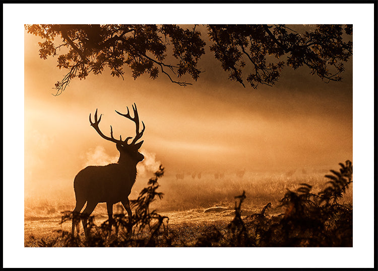 Red Deer Stag in the Mist Poster