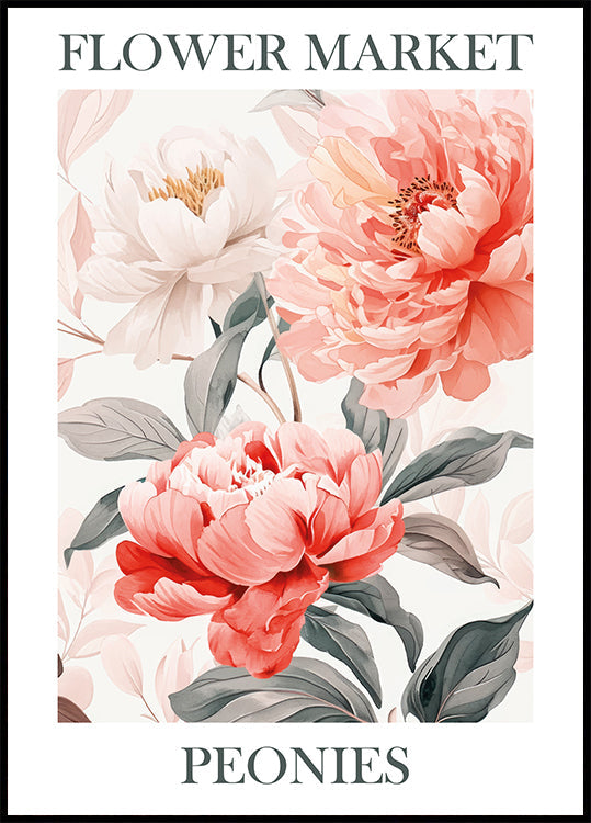 Peonies Pink Poster - Posterbox.dk