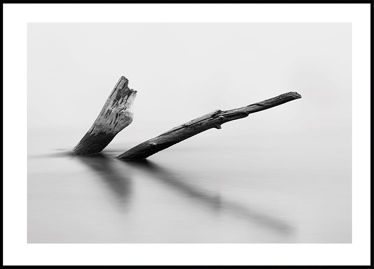 Wooden Log In The Water Poster - Posterbox.dk