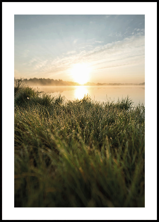 Dewy Dawn by the Lake Poster - Posterbox.dk