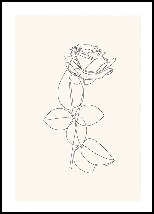 Line Art Rose Poster - Posterbox.dk