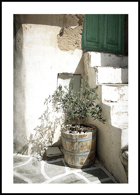 Charming Olive Tree in a Rustic Setting Poster - Posterbox.dk