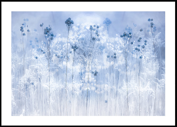 Icy blue Poster