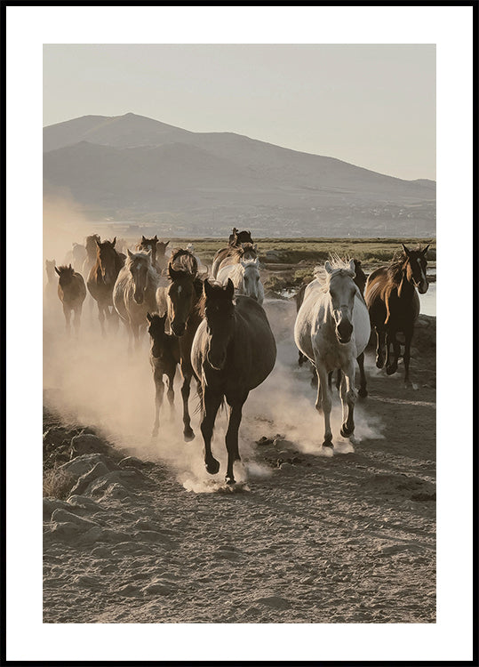 Wild Horses Gallop Poster - Posterbox.dk