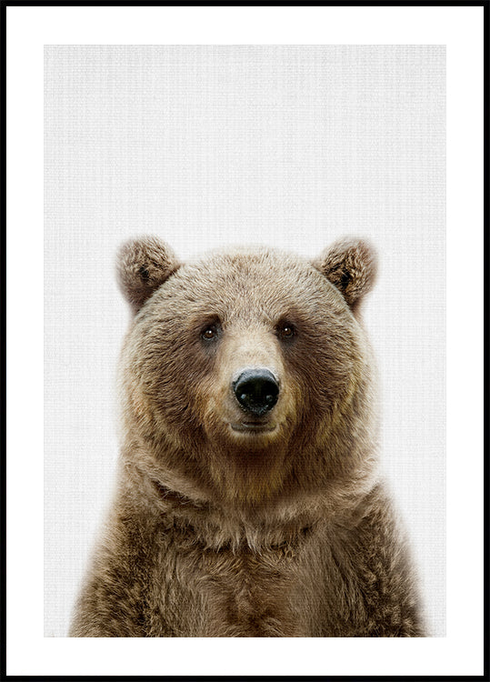 Peekaboo Bear Poster