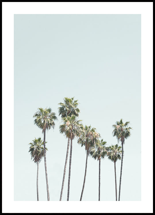 Blue Palm Trees Poster
