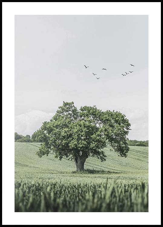Green Tree In The Field Poster - Posterbox.dk