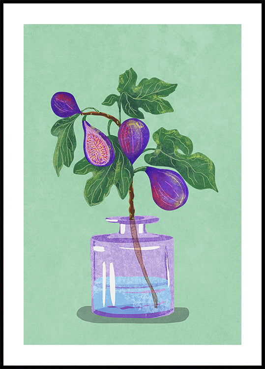 Fig Branch In Vase Poster