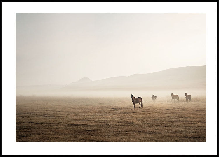 Horses in The Fog Poster - Posterbox.dk